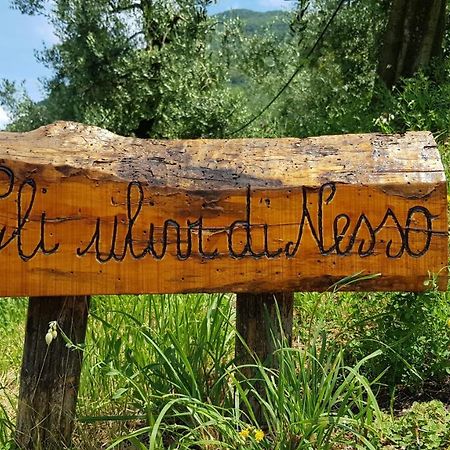 Gli Ulivi Di Nesso Βίλα Εξωτερικό φωτογραφία
