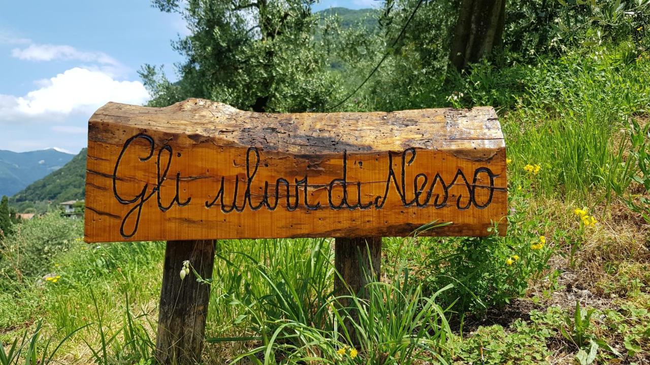 Gli Ulivi Di Nesso Βίλα Εξωτερικό φωτογραφία