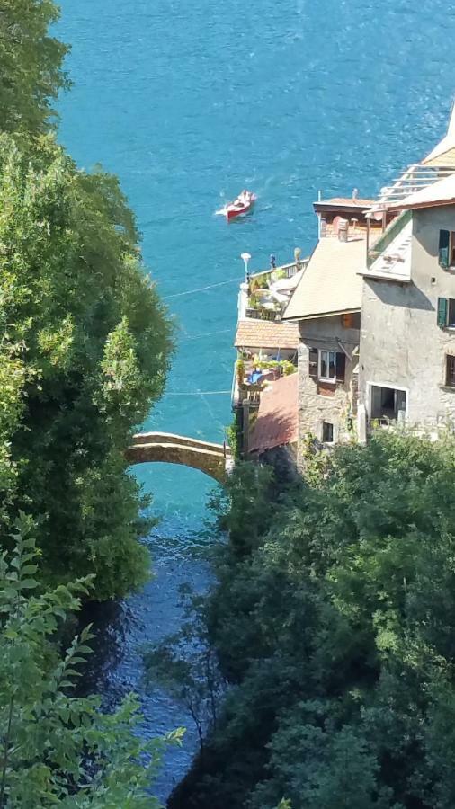 Gli Ulivi Di Nesso Βίλα Εξωτερικό φωτογραφία