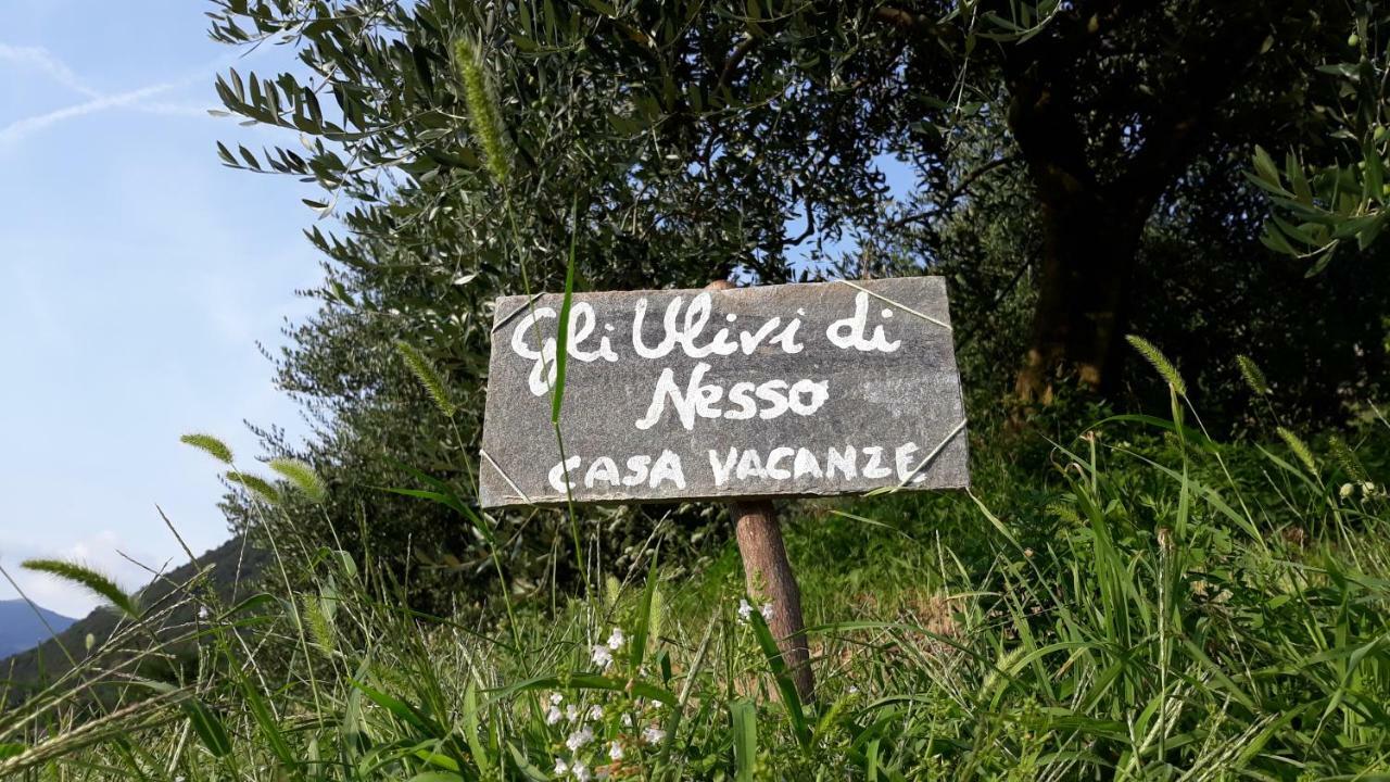 Gli Ulivi Di Nesso Βίλα Εξωτερικό φωτογραφία